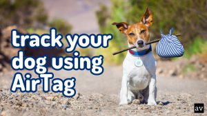 Can I use Apple AirTag to track my dog?